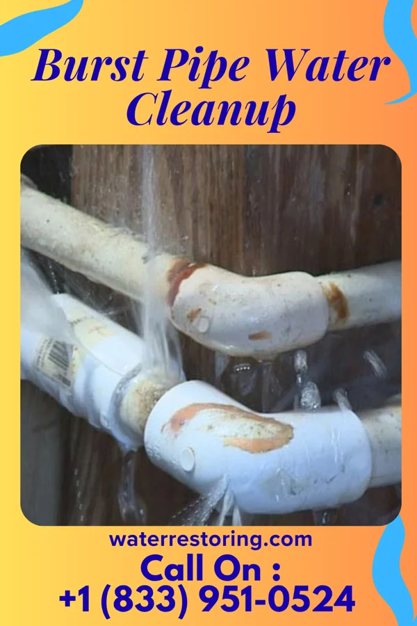 Burst Pipe Water Cleanup in Lake Mills, IA