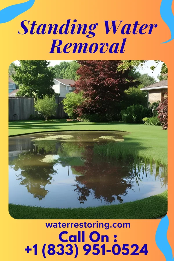 Standing Water Removal in Lake Mills, IA